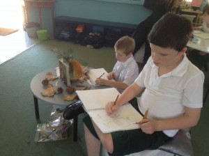 Kia and Oliver study the lines and patterns on the natural materials they collected on our reward day last term.